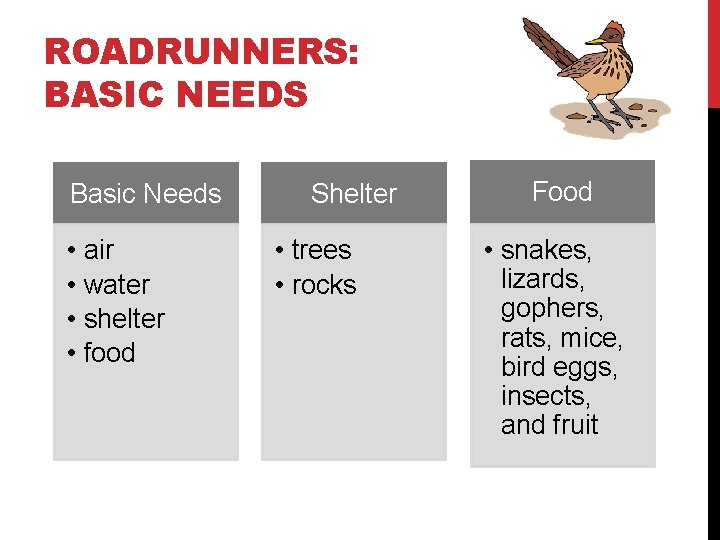 ROADRUNNERS: BASIC NEEDS Basic Needs • • air water shelter food Shelter • trees