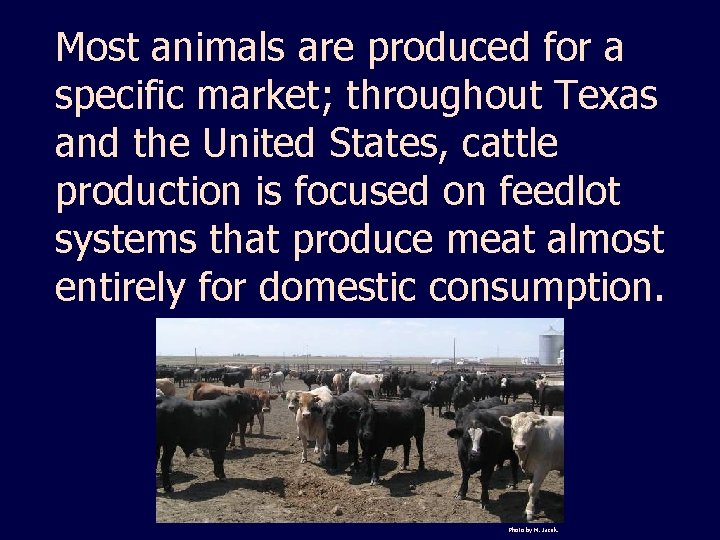 Most animals are produced for a specific market; throughout Texas and the United States,