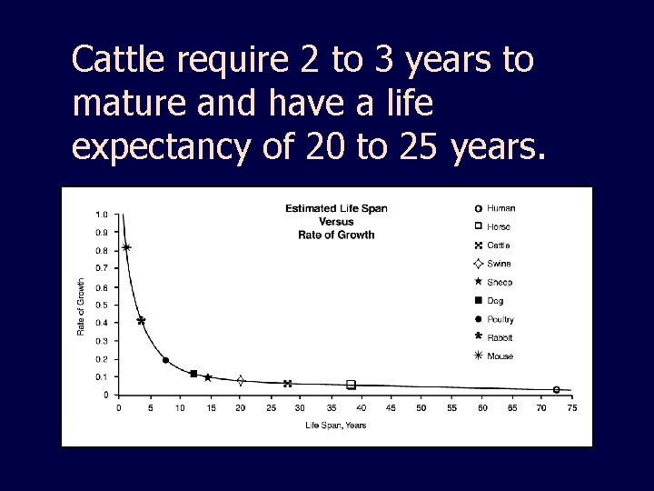 Cattle require 2 to 3 years to mature and have a life expectancy of