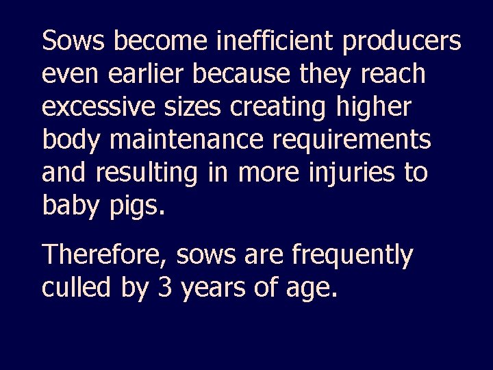 Sows become inefficient producers even earlier because they reach excessive sizes creating higher body