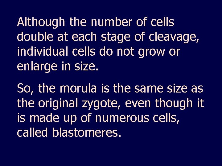 Although the number of cells double at each stage of cleavage, individual cells do