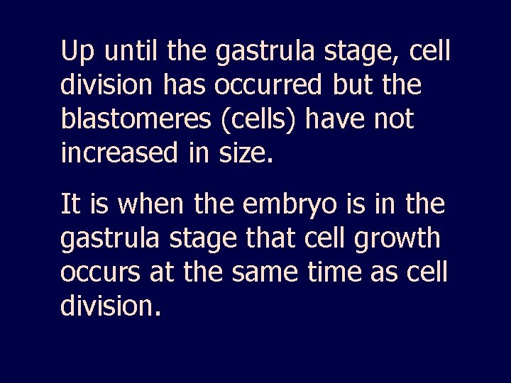 Up until the gastrula stage, cell division has occurred but the blastomeres (cells) have