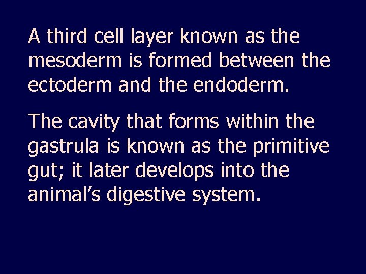 A third cell layer known as the mesoderm is formed between the ectoderm and