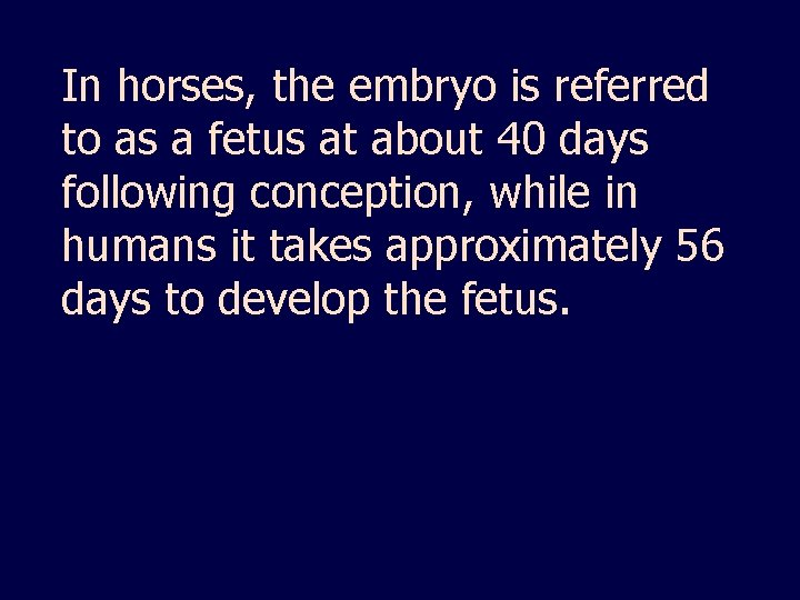 In horses, the embryo is referred to as a fetus at about 40 days