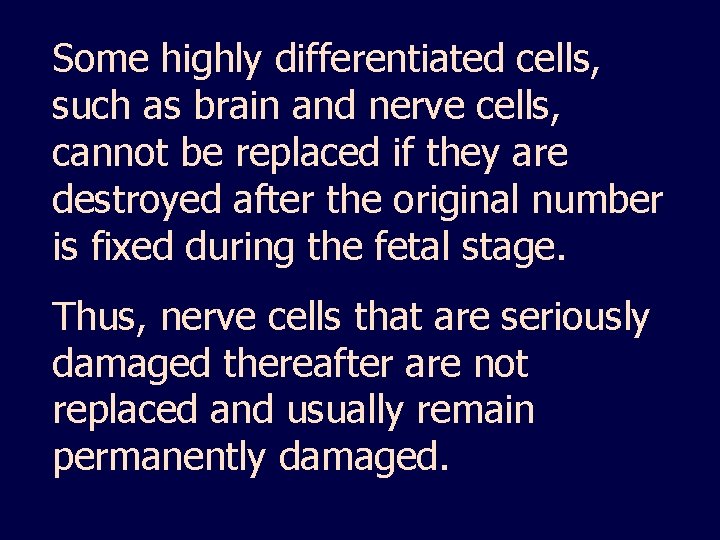 Some highly differentiated cells, such as brain and nerve cells, cannot be replaced if