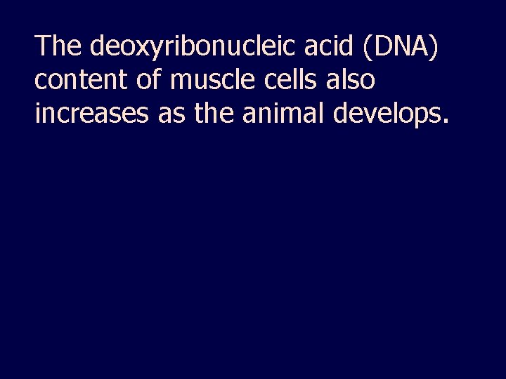 The deoxyribonucleic acid (DNA) content of muscle cells also increases as the animal develops.