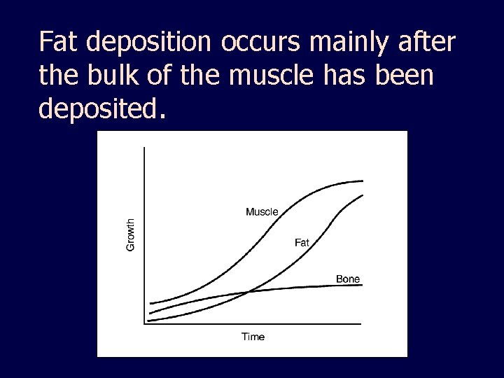 Fat deposition occurs mainly after the bulk of the muscle has been deposited. 