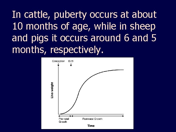 In cattle, puberty occurs at about 10 months of age, while in sheep and