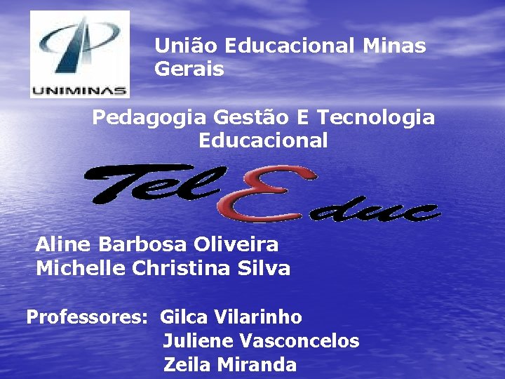 União Educacional Minas Gerais Pedagogia Gestão E Tecnologia Educacional Aline Barbosa Oliveira Michelle Christina