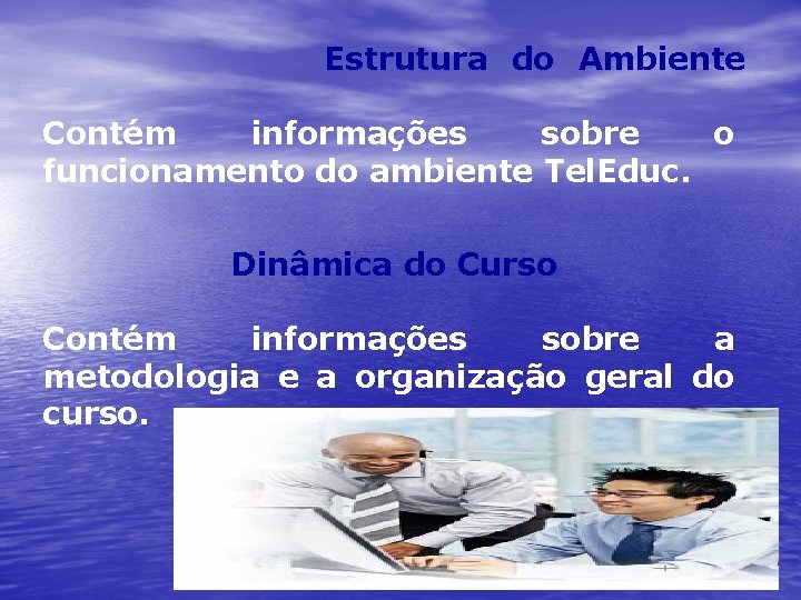 Estrutura do Ambiente Contém informações sobre o funcionamento do ambiente Tel. Educ. Dinâmica do