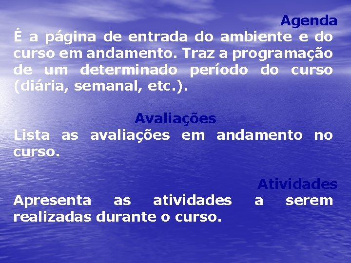 Agenda É a página de entrada do ambiente e do curso em andamento. Traz