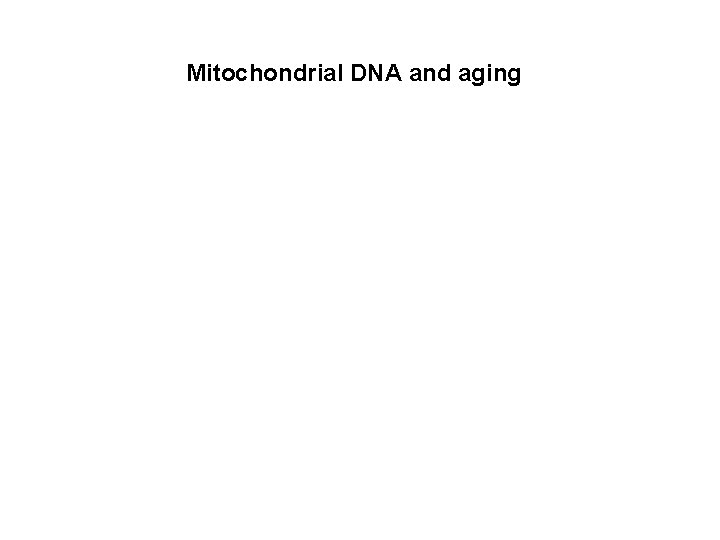 Mitochondrial DNA and aging 