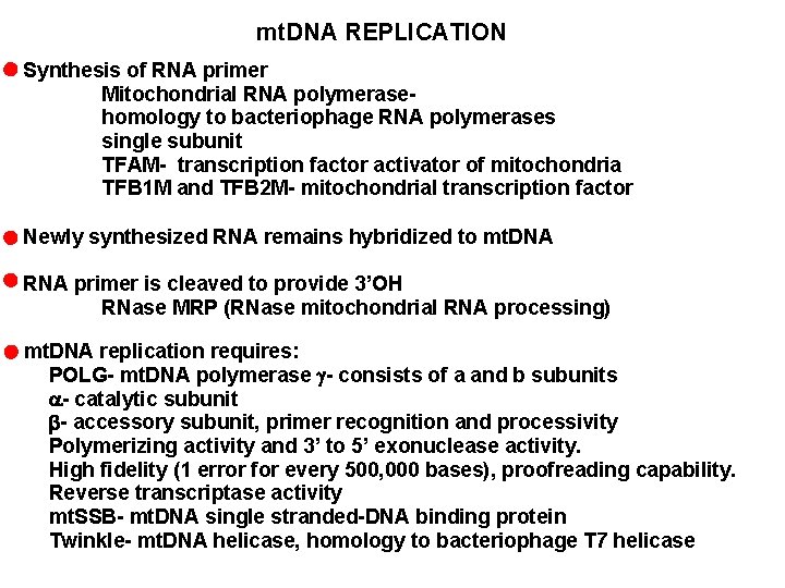 mt. DNA REPLICATION Synthesis of RNA primer Mitochondrial RNA polymerasehomology to bacteriophage RNA polymerases