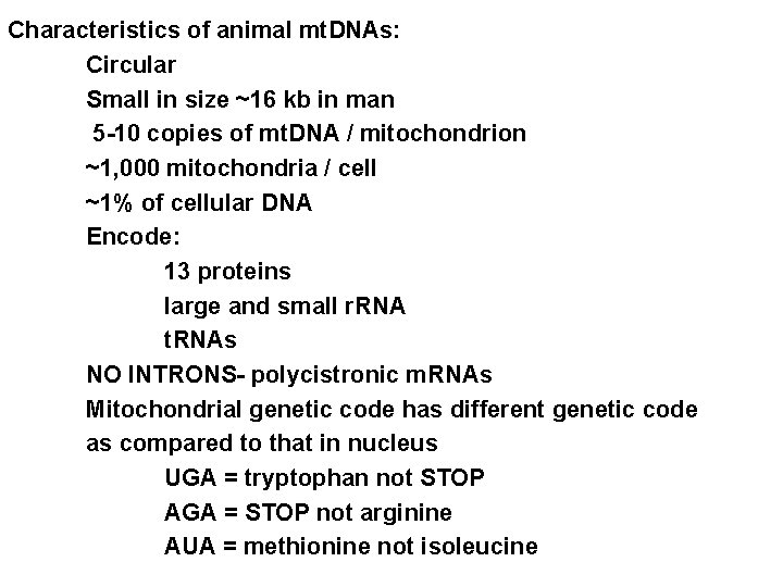 Characteristics of animal mt. DNAs: Circular Small in size ~16 kb in man 5