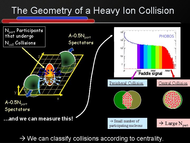 The Geometry of a Heavy Ion Collision Npart Participants that undergo Ncoll Collisions A-0.