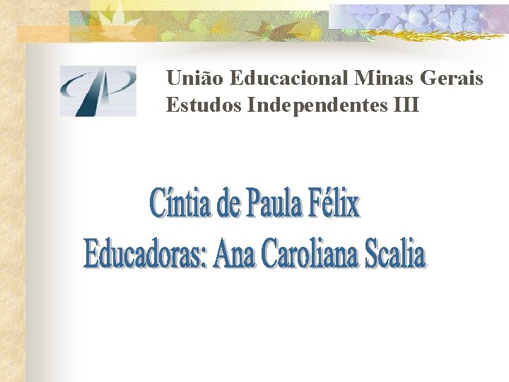 União Educacional Minas Gerais Estudos Independentes III 