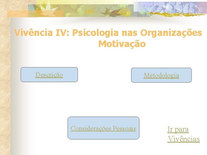 Vivência IV: Psicologia nas Organizações Motivação Descrição Metodologia Considerações Pessoais Ir para Vivências 