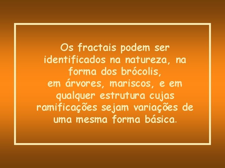 Os fractais podem ser identificados na natureza, na forma dos brócolis, em árvores, mariscos,