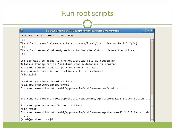 Run root scripts 