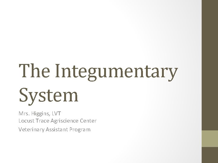 The Integumentary System Mrs. Higgins, LVT Locust Trace Agriscience Center Veterinary Assistant Program 