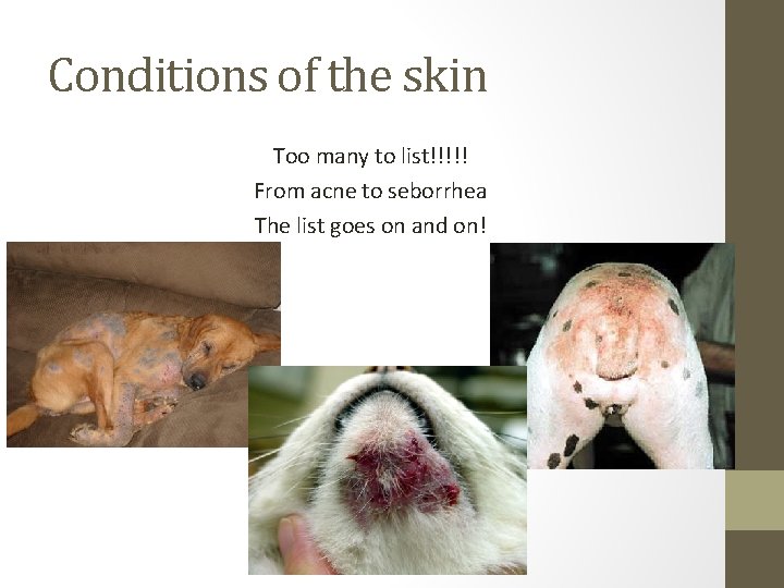 Conditions of the skin Too many to list!!!!! From acne to seborrhea The list