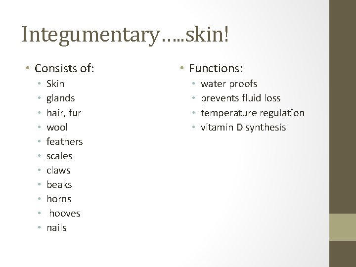 Integumentary…. . skin! • Consists of: • • • Skin glands hair, fur wool