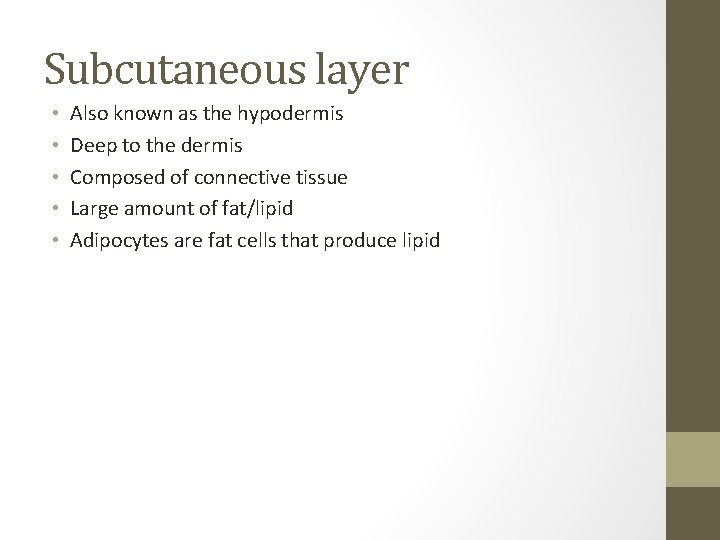 Subcutaneous layer • • • Also known as the hypodermis Deep to the dermis