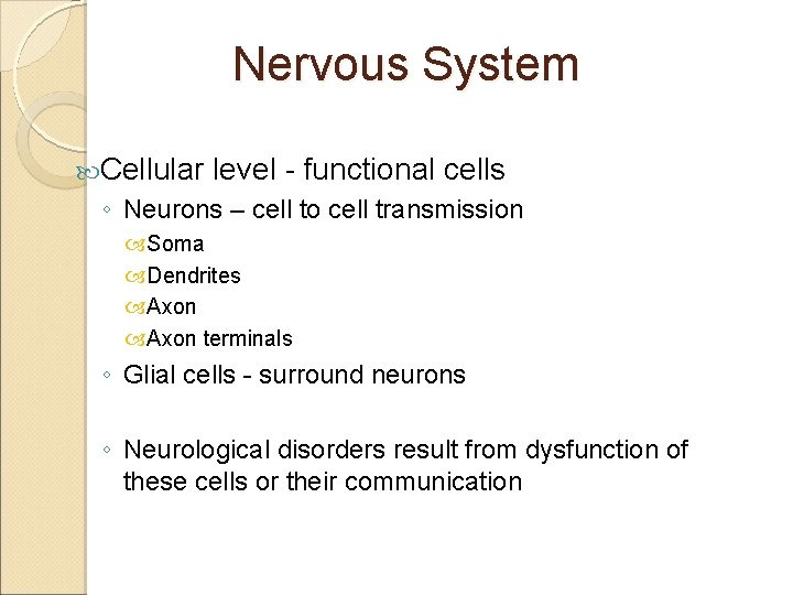 Nervous System Cellular level - functional cells ◦ Neurons – cell to cell transmission