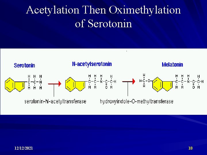 Acetylation Then Oximethylation of Serotonin 12/12/2021 10 