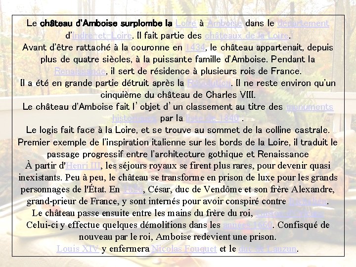 Le château d'Amboise surplombe la Loire à Amboise dans le département d'Indre-et-Loire. Il fait