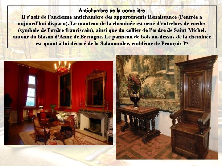 Antichambre de la cordelière Il s'agit de l'ancienne antichambre des appartements Renaissance (l'entrée a