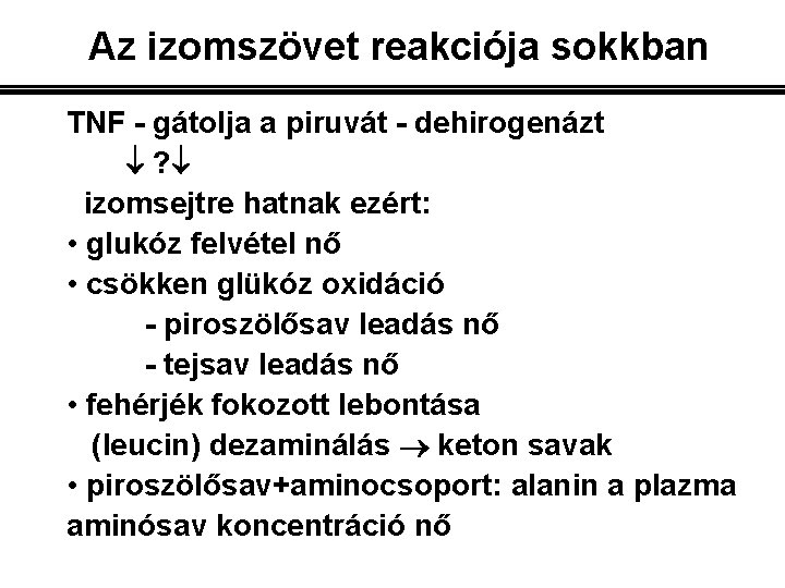 Az izomszövet reakciója sokkban TNF - gátolja a piruvát - dehirogenázt ? izomsejtre hatnak