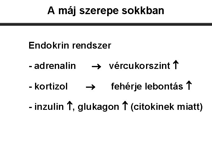 A máj szerepe sokkban Endokrin rendszer - adrenalin - kortizol vércukorszint fehérje lebontás -