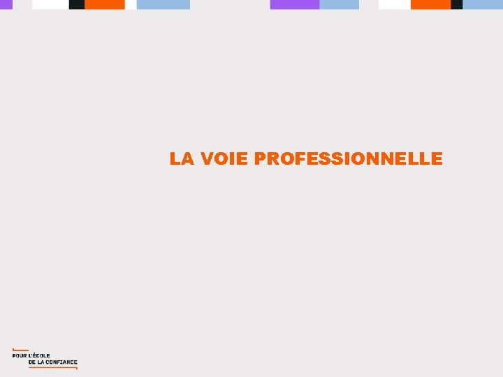 LA VOIE PROFESSIONNELLE 