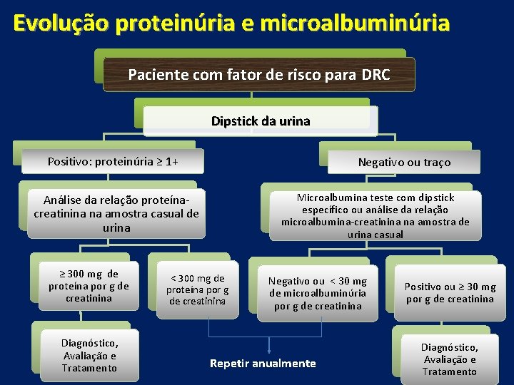 Evoluçã Evoluç o proteinúria e microalbuminúria Paciente com fator de risco para DRC Dipstick