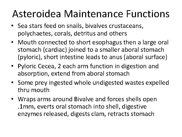 Asteroidea Maintenance Functions • Sea stars feed on snails, bivalves crustaceans, polychaetes, corals, detritus