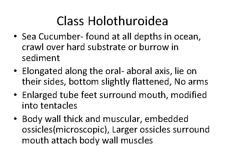 Class Holothuroidea • Sea Cucumber- found at all depths in ocean, crawl over hard