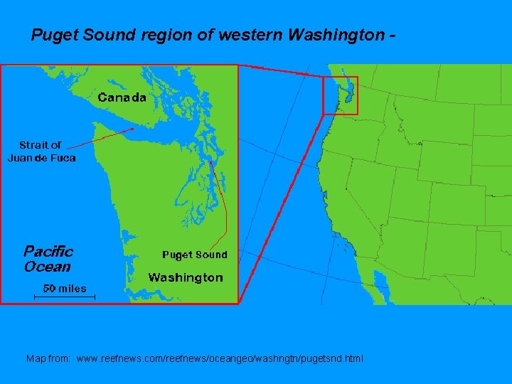 Puget Sound region of western Washington - Map from: www. reefnews. com/reefnews/oceangeo/washngtn/pugetsnd. html 