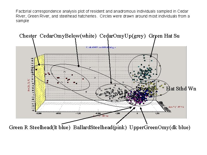 Factorial correspondence analysis plot of resident and anadromous individuals sampled in Cedar River, Green