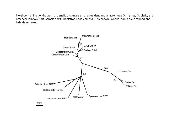 Neighbor-joining dendrogram of genetic distances among resident and anadromous O. mykiss, O. clarki, and