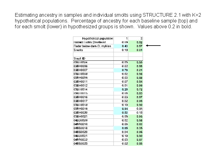 Estimating ancestry in samples and individual smolts using STRUCTURE 2. 1 with K=2 hypothetical