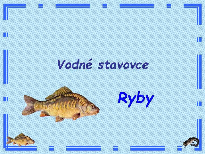 Vodné stavovce Ryby 