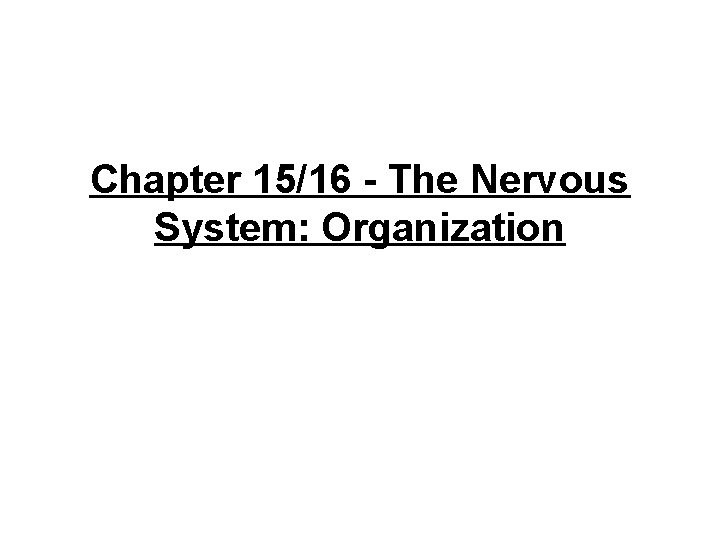 Chapter 1516 The Nervous System Organization Divisions of