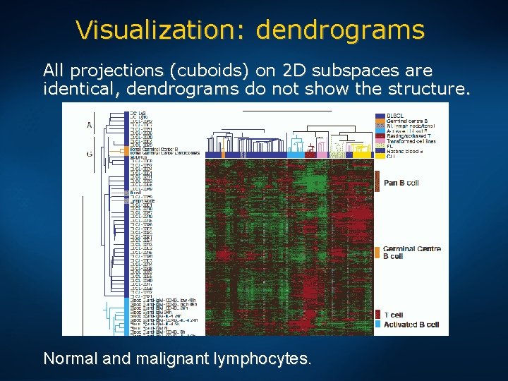 Visualization: dendrograms All projections (cuboids) on 2 D subspaces are identical, dendrograms do not