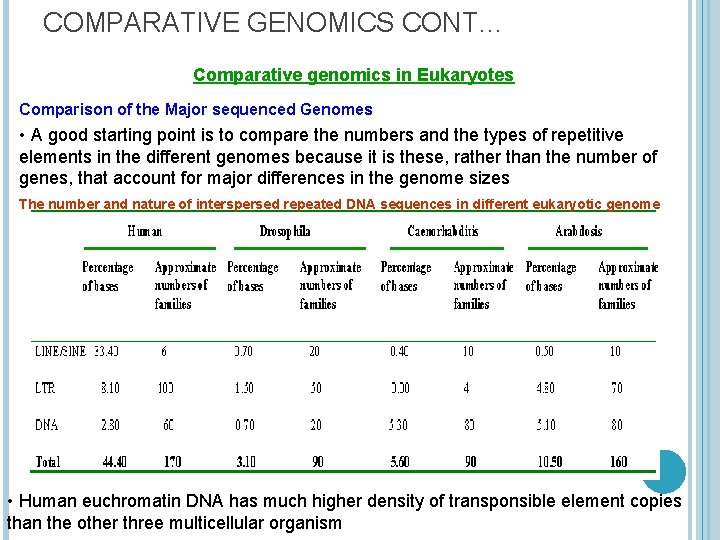 COMPARATIVE GENOMICS CONT… Comparative genomics in Eukaryotes Comparison of the Major sequenced Genomes •