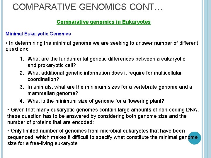 COMPARATIVE GENOMICS CONT… Comparative genomics in Eukaryotes Minimal Eukaryotic Genomes • In determining the