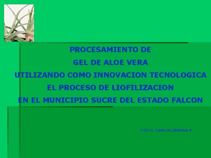 PROCESAMIENTO DE GEL DE ALOE VERA UTILIZANDO COMO INNOVACION TECNOLOGICA EL PROCESO DE LIOFILIZACION