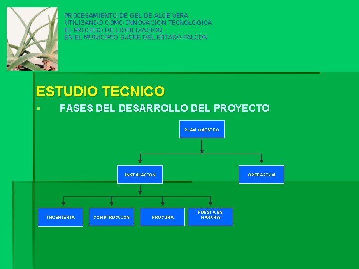 PROCESAMIENTO DE GEL DE ALOE VERA UTILIZANDO COMO INNOVACION TECNOLOGICA EL PROCESO DE LIOFILIZACION