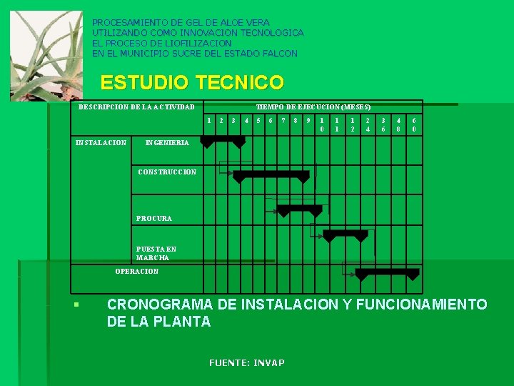 PROCESAMIENTO DE GEL DE ALOE VERA UTILIZANDO COMO INNOVACION TECNOLOGICA EL PROCESO DE LIOFILIZACION