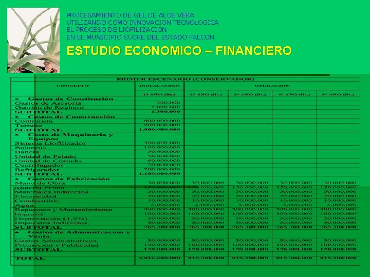 PROCESAMIENTO DE GEL DE ALOE VERA UTILIZANDO COMO INNOVACION TECNOLOGICA EL PROCESO DE LIOFILIZACION